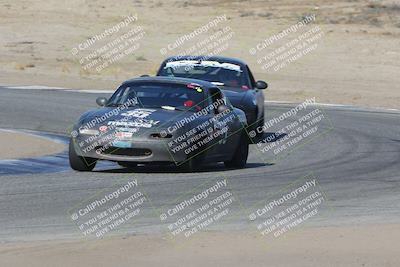 media/Nov-04-2023-CalClub SCCA (Sat) [[cb7353a443]]/Group 3/Cotton Corners (Race)/